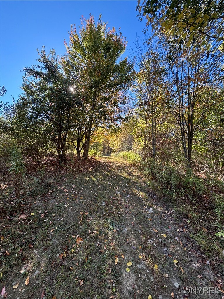 8483 North Otto Road Otto, NY 14719 - Photo 39 of 48