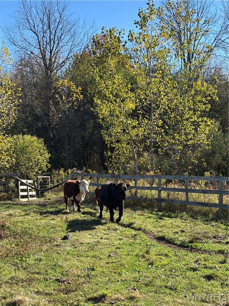 8483 North Otto Road Otto, NY 14719 - Photo 43 of 48