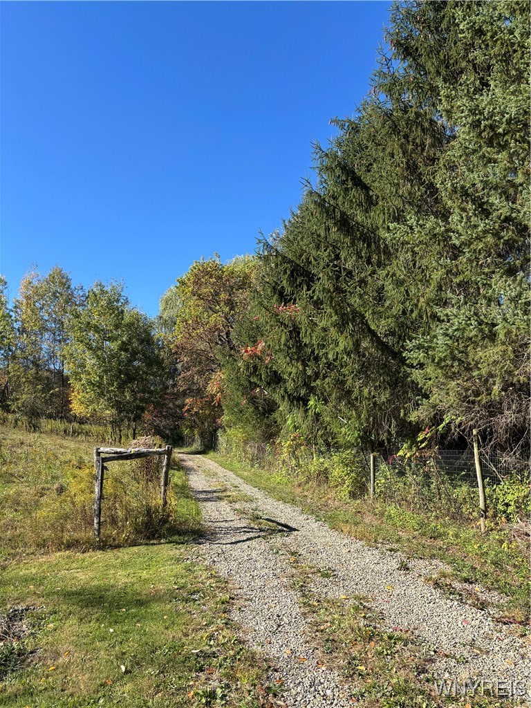 8483 North Otto Road Otto, NY 14719 - Photo 48 of 48
