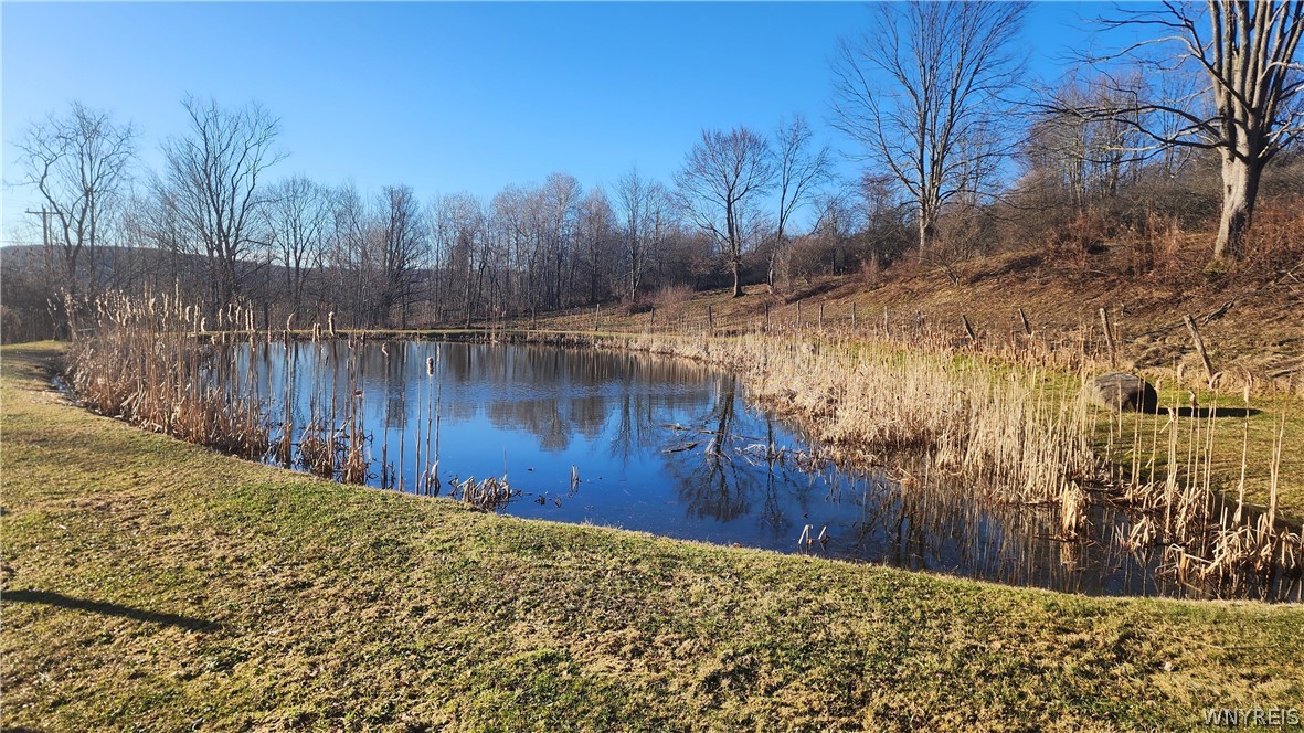8483 North Otto Road Otto, NY 14719 - Photo 5 of 45 Pond