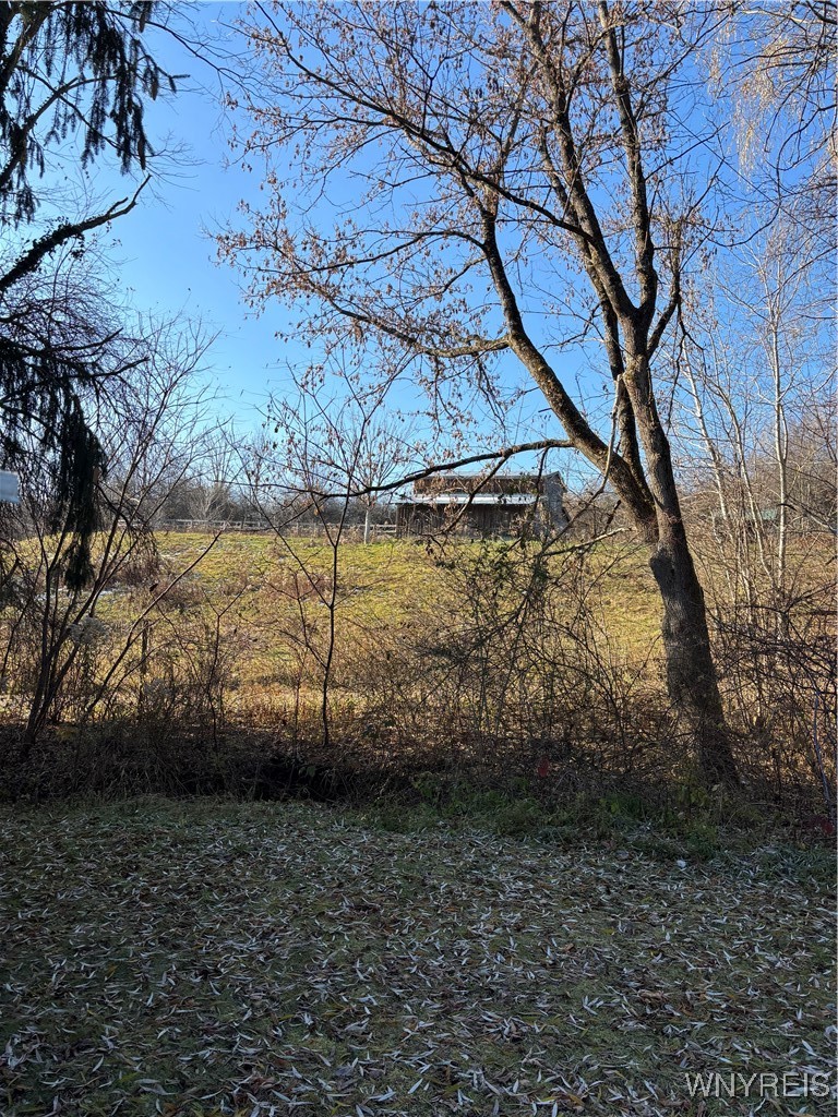 8483 North Otto Road Otto, NY 14719 - Photo 7 of 48