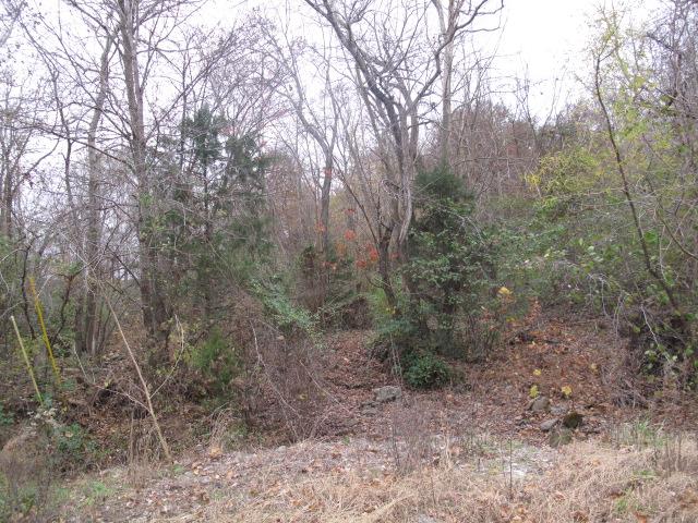 725 Butler Road Portland, TN 37148 - Photo 3 of 14 This land has it all! Cleared land, mature trees and tons of privacy.