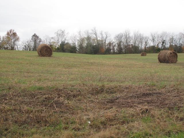 725 Butler Road Portland, TN 37148 - Photo 4 of 14 If you need hay for your livestock or supplemental income, we have that too!