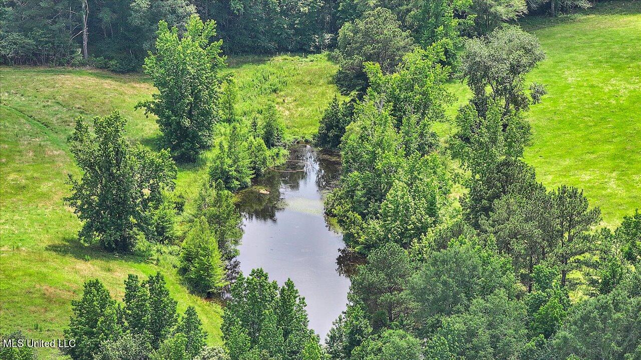 243 Hosey Road Magee, MS 39111 - Photo 59 of 88 60-243 Hosey Rd