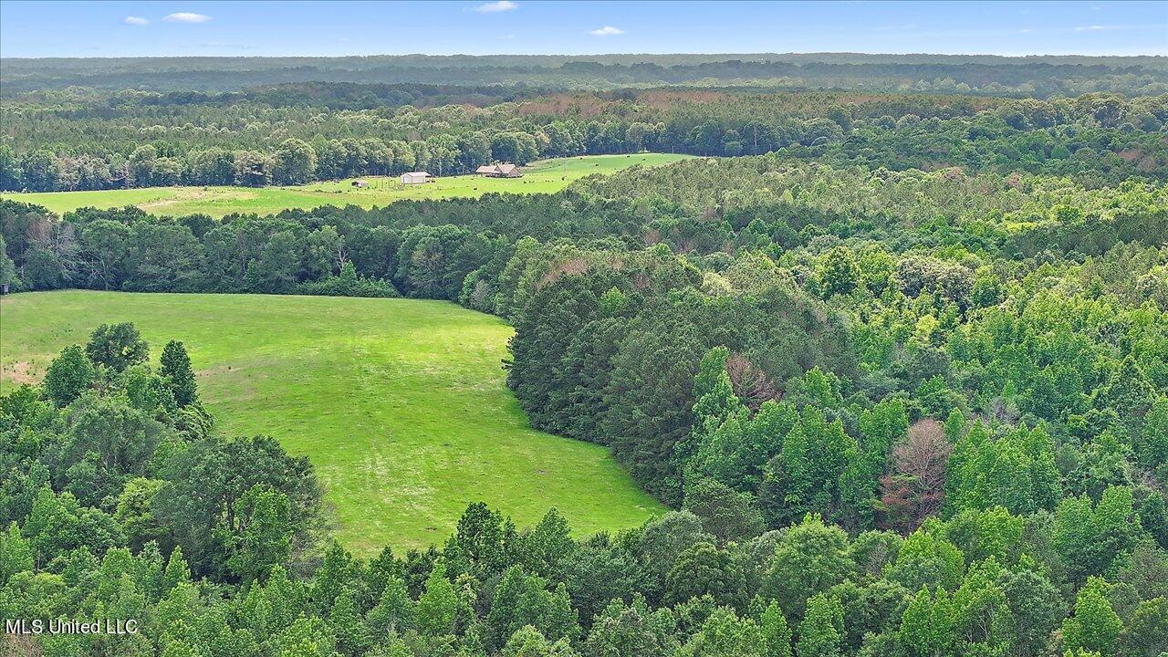 243 Hosey Road Magee, MS 39111 - Photo 69 of 88 70-243 Hosey Rd