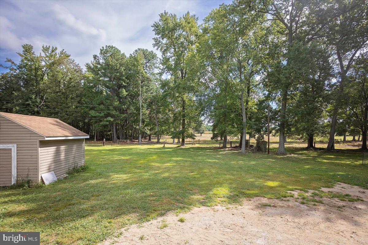 9901 Councell Road Cordova, MD 21625 - Photo 17 of 19 BACKYARD