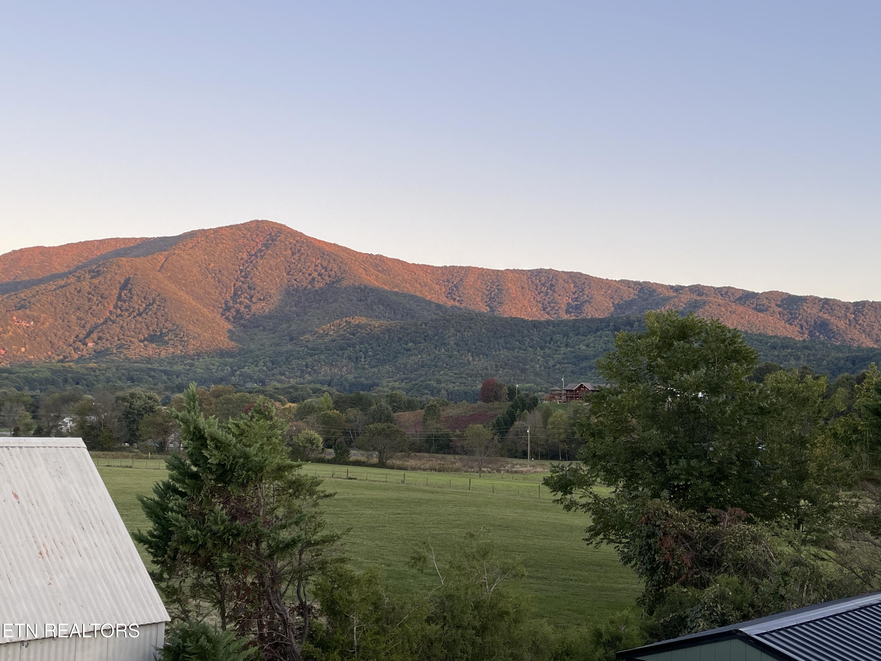 3769 Wears Valley Road, Unit 3 Sevierville, TN 37862 - Photo 16 of 22 20241017_225027940_iOS