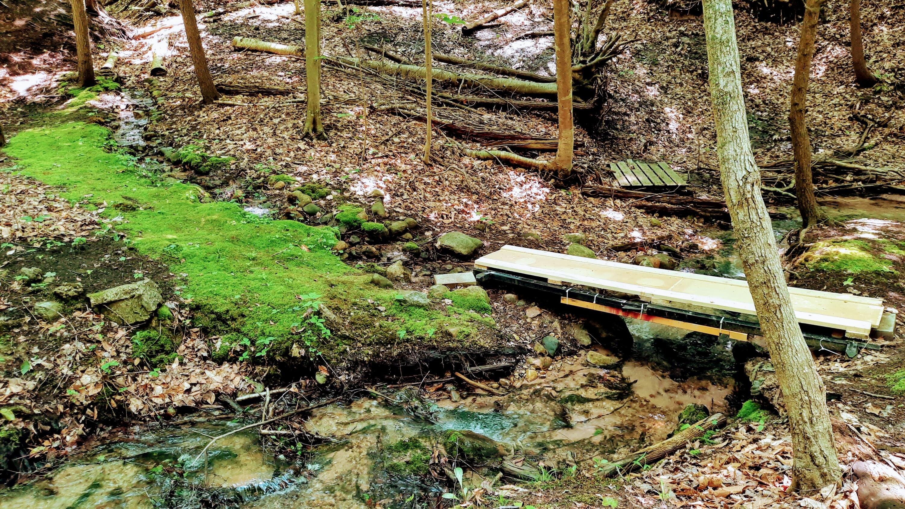 8424 3rd Street Onekama, MI 49675 - Photo 81 of 99 Mossy Paths
