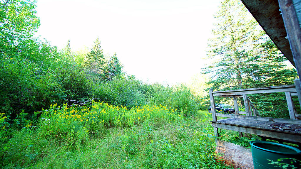 208 Springer Road Weston, ME 04424 - Photo 17 of 36 208-springer-rd-weston-11