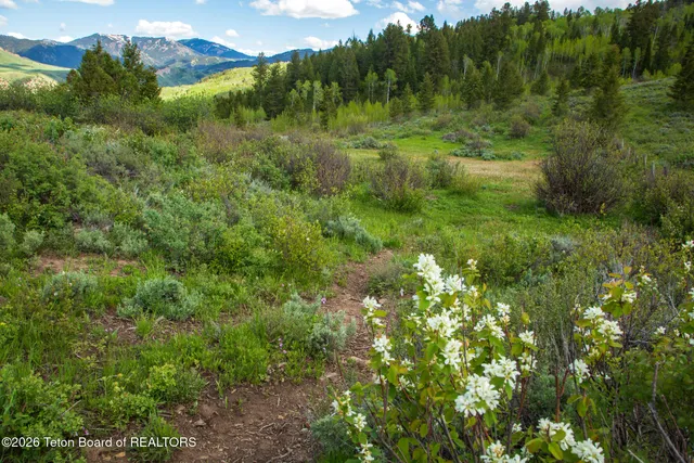 $15,000,000 | 7675 Highway 89, Jackson, WY 83001