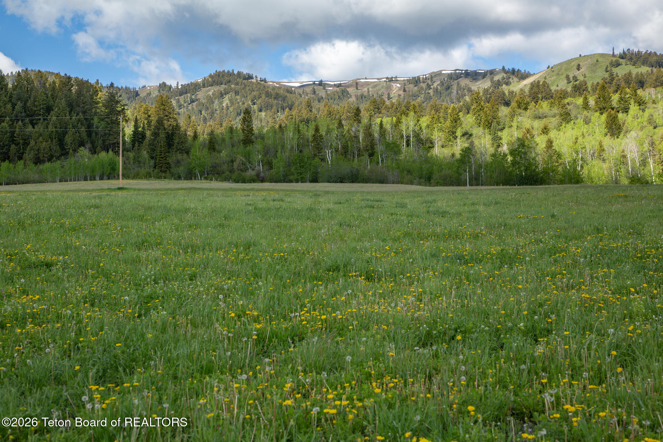 7675 Highway 89 Jackson, WY 83001 - Photo 13 of 47 Munger Mtn Ranch