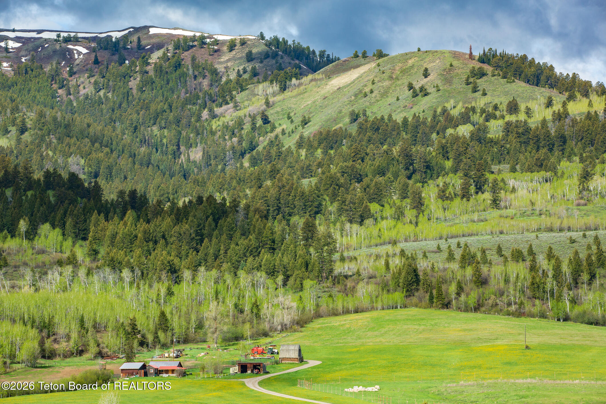 7675 Highway 89 Jackson, WY 83001 - Photo 15 of 47 Munger Mtn Ranch