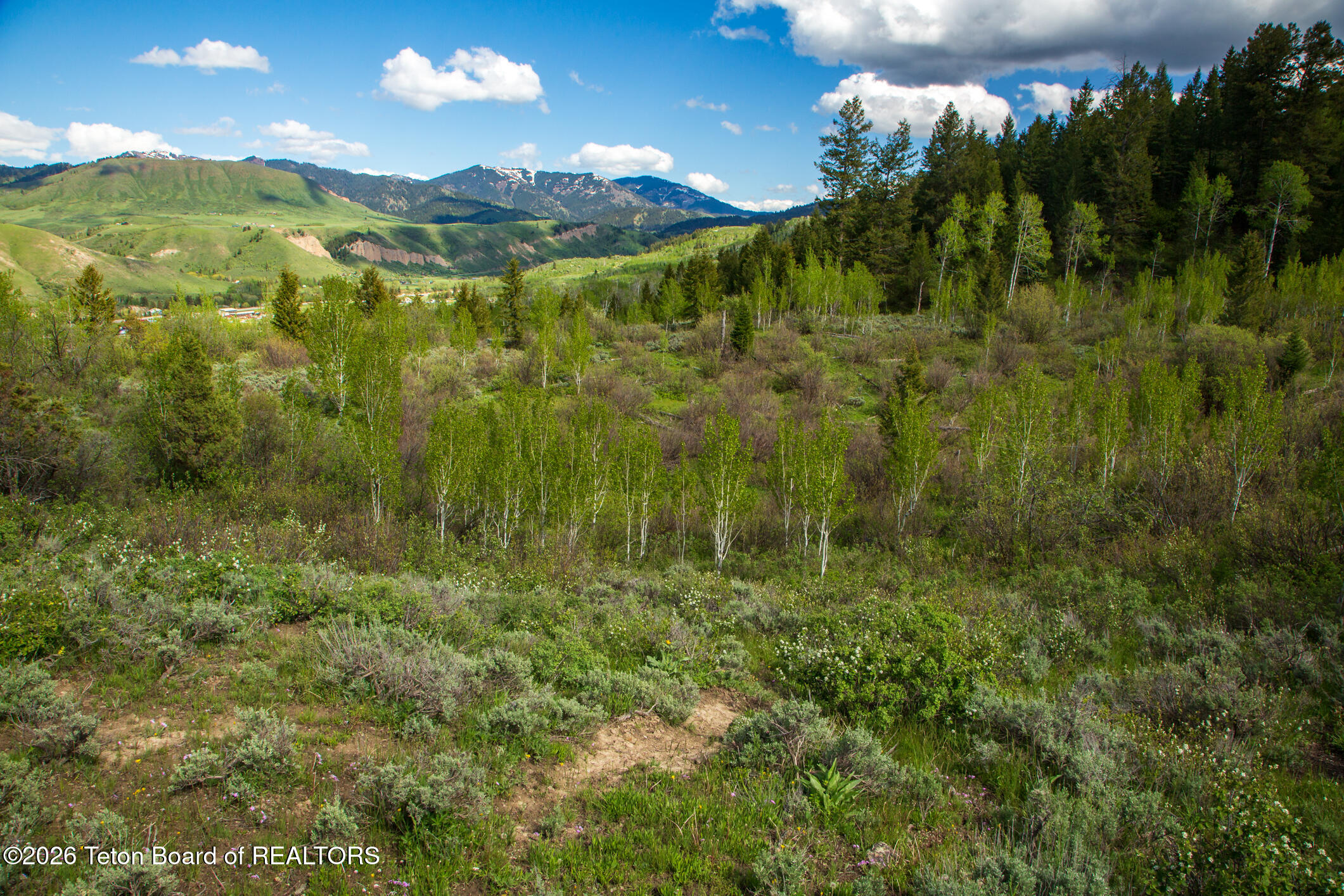 7675 Highway 89 Jackson, WY 83001 - Photo 17 of 47 Munger Mtn Ranch