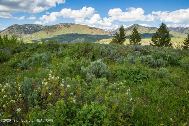 $15,000,000 | 7675 Highway 89, Jackson, WY 83001