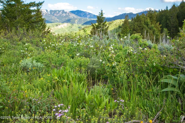 $15,000,000 | 7675 Highway 89, Jackson, WY 83001