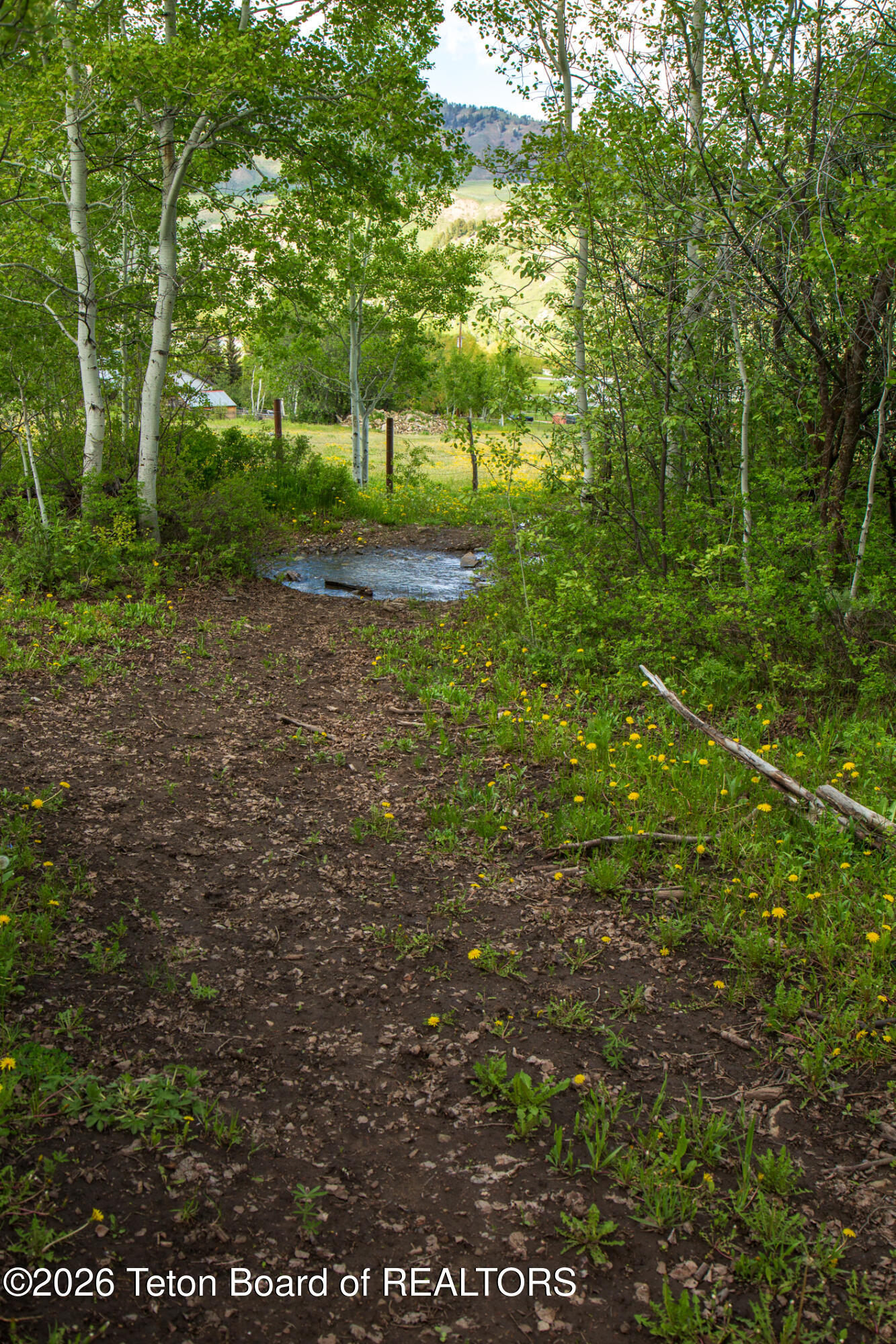 7675 Highway 89 Jackson, WY 83001 - Photo 21 of 47 Munger Mtn Ranch
