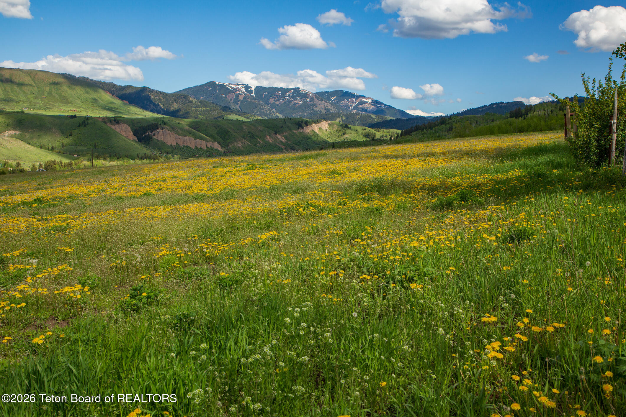 7675 Highway 89 Jackson, WY 83001 - Photo 25 of 47 Munger Mtn Ranch