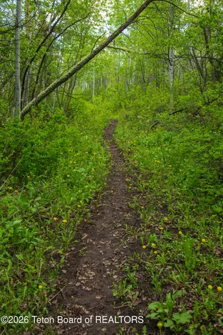 $15,000,000 | 7675 Highway 89, Jackson, WY 83001