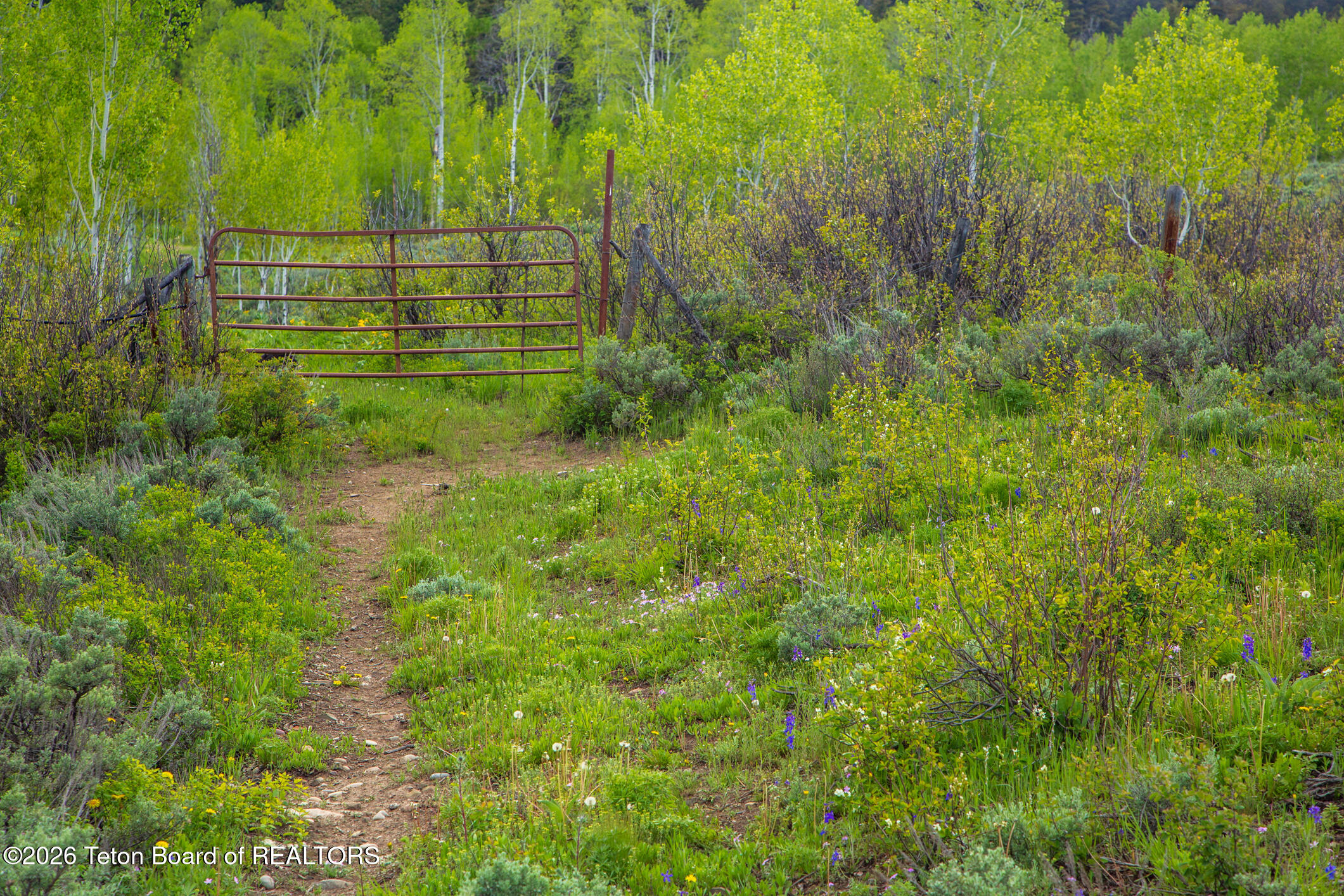 7675 Highway 89 Jackson, WY 83001 - Photo 27 of 47 Munger Mtn Ranch