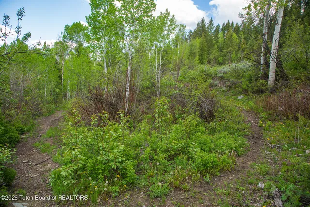 $15,000,000 | 7675 Highway 89, Jackson, WY 83001