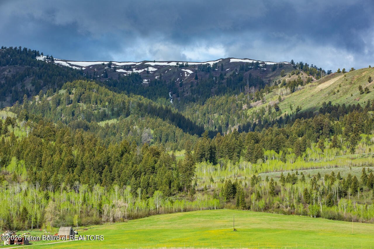 7675 Highway 89 Jackson, WY 83001 - Photo 3 of 47 Munger Mtn Ranch
