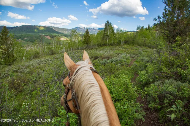 $15,000,000 | 7675 Highway 89, Jackson, WY 83001