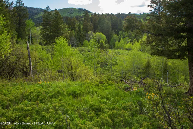 $15,000,000 | 7675 Highway 89, Jackson, WY 83001