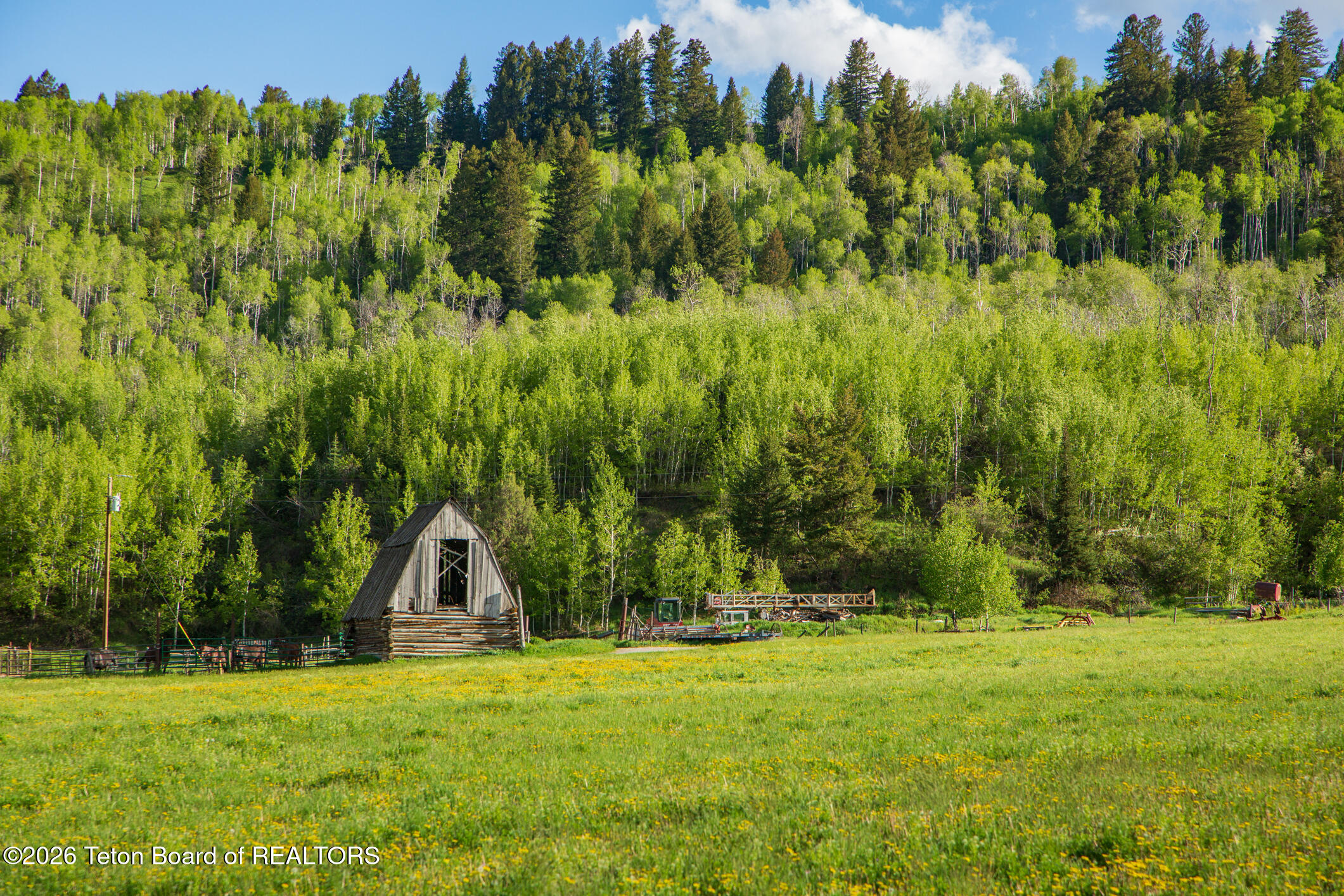 7675 Highway 89 Jackson, WY 83001 - Photo 38 of 47 Munger Mtn Ranch