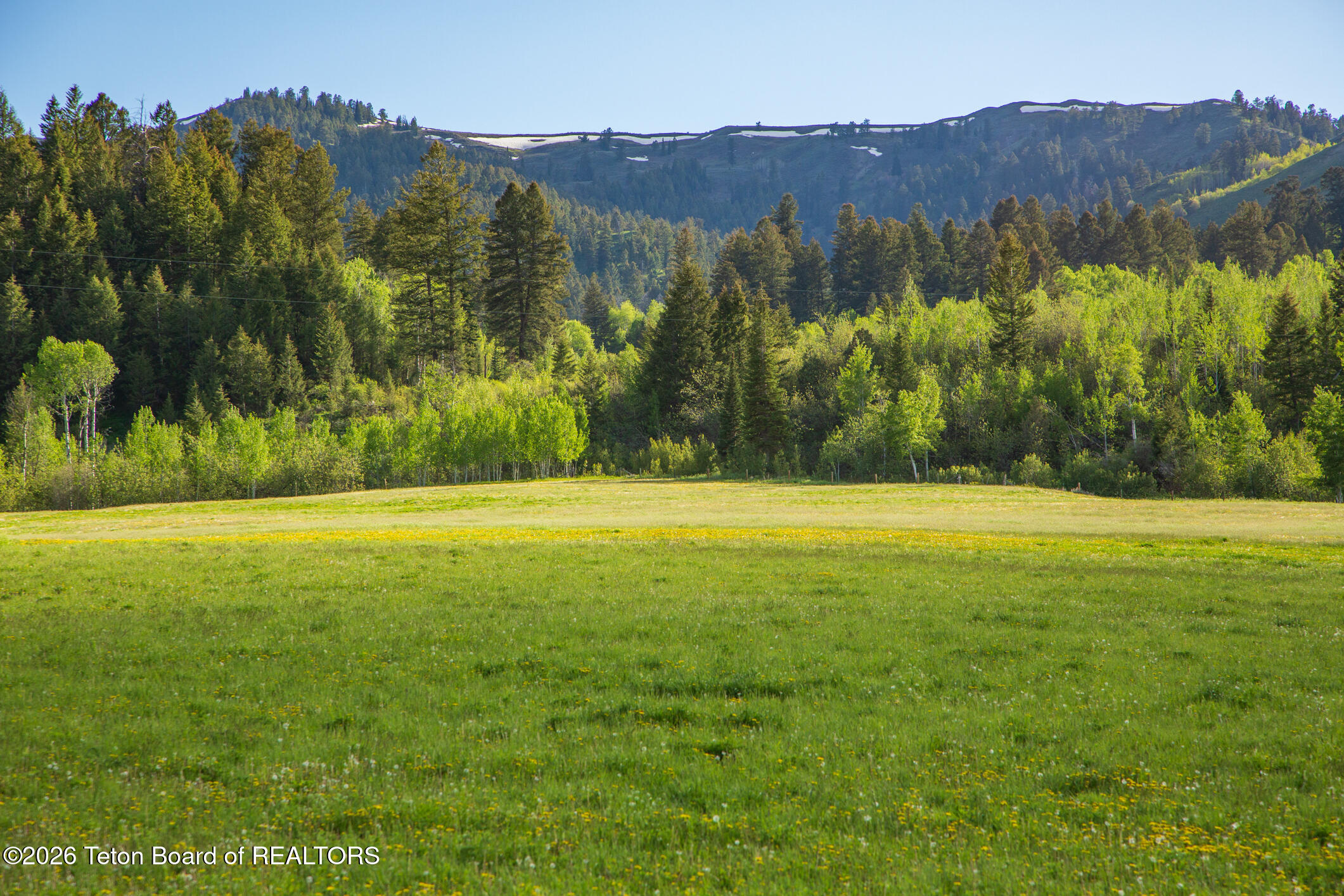 7675 Highway 89 Jackson, WY 83001 - Photo 39 of 47 Munger Mtn Ranch