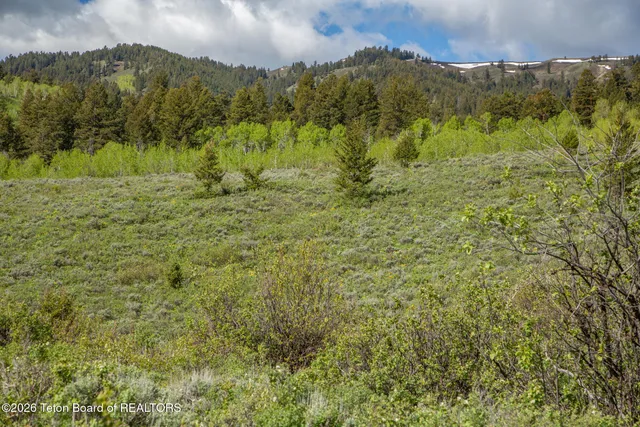 $15,000,000 | 7675 Highway 89, Jackson, WY 83001
