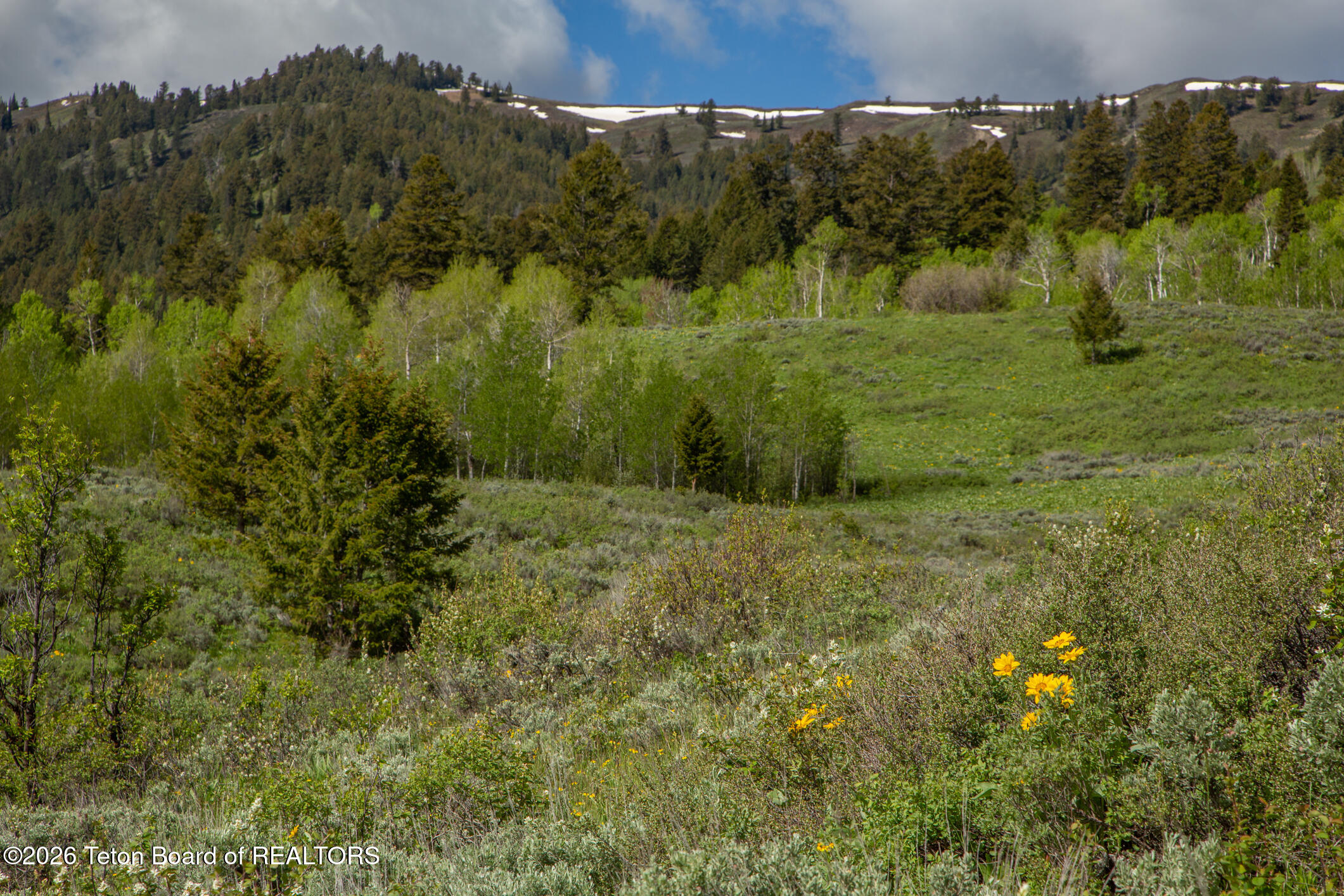 7675 Highway 89 Jackson, WY 83001 - Photo 44 of 47 Munger Mtn Ranch