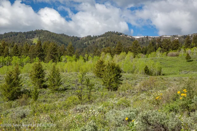 $15,000,000 | 7675 Highway 89, Jackson, WY 83001