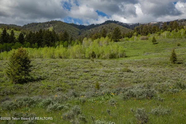 $15,000,000 | 7675 Highway 89, Jackson, WY 83001