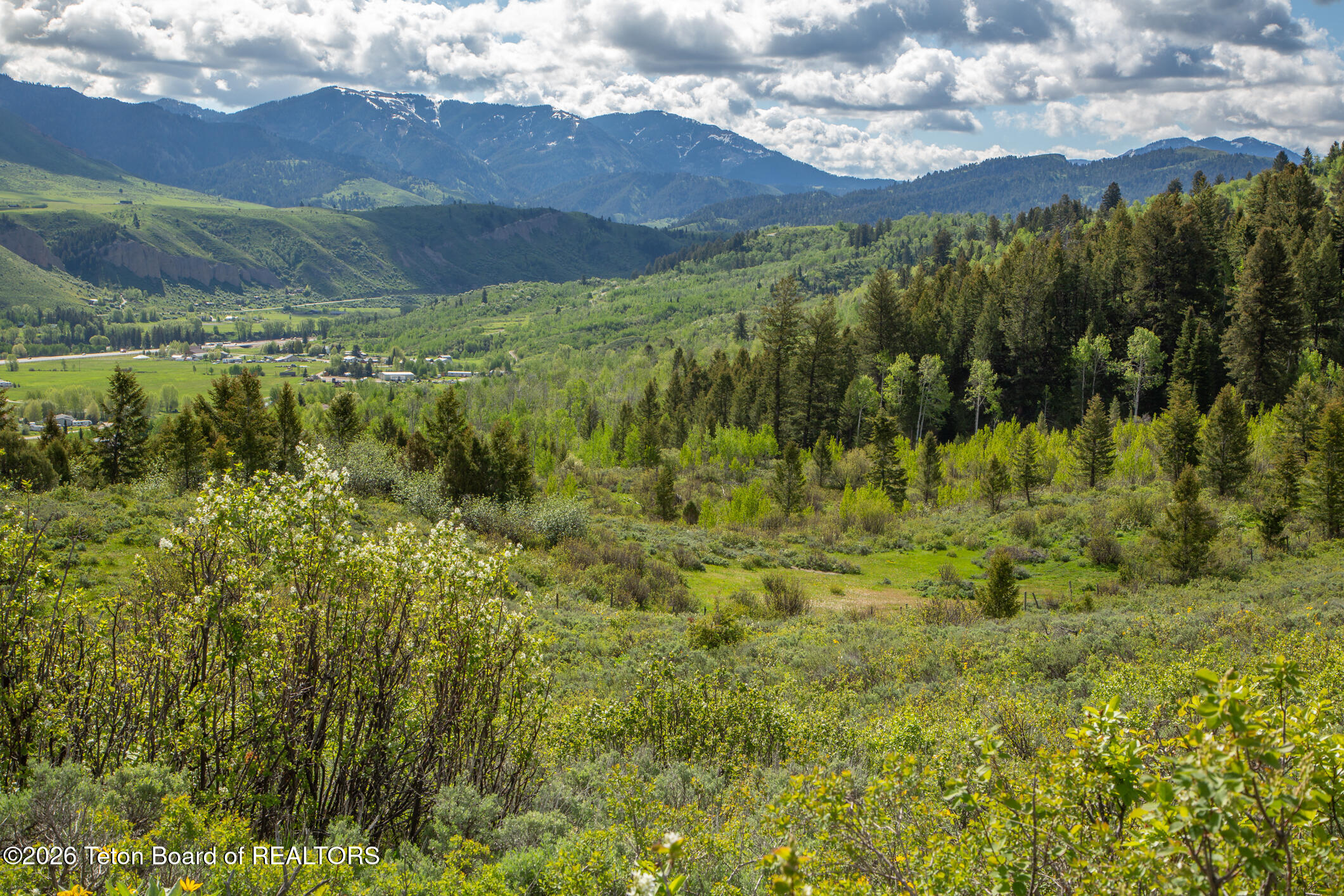 7675 Highway 89 Jackson, WY 83001 - Photo 8 of 47 Munger Mtn Ranch