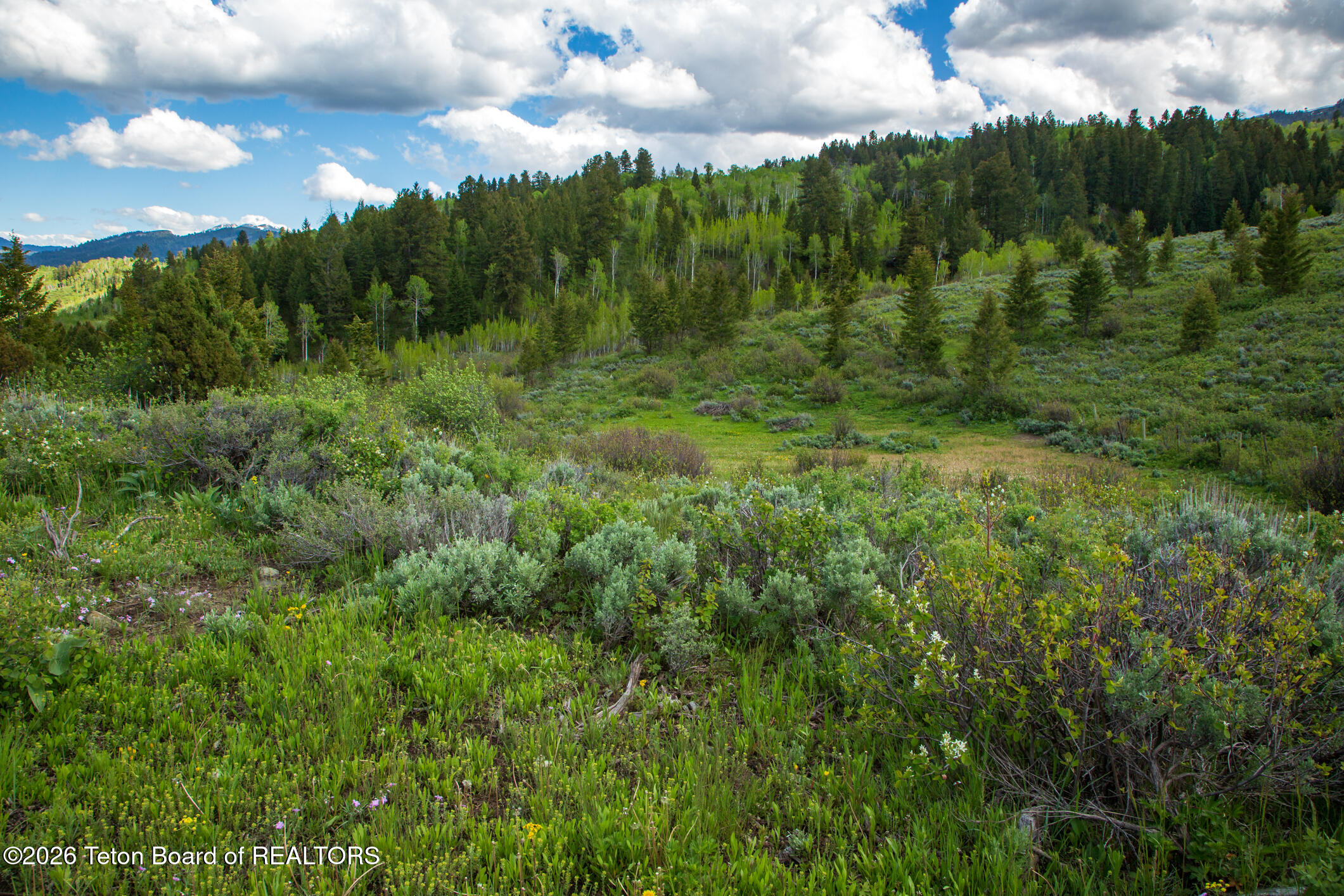 7675 Highway 89 Jackson, WY 83001 - Photo 9 of 47 Munger Mtn Ranch