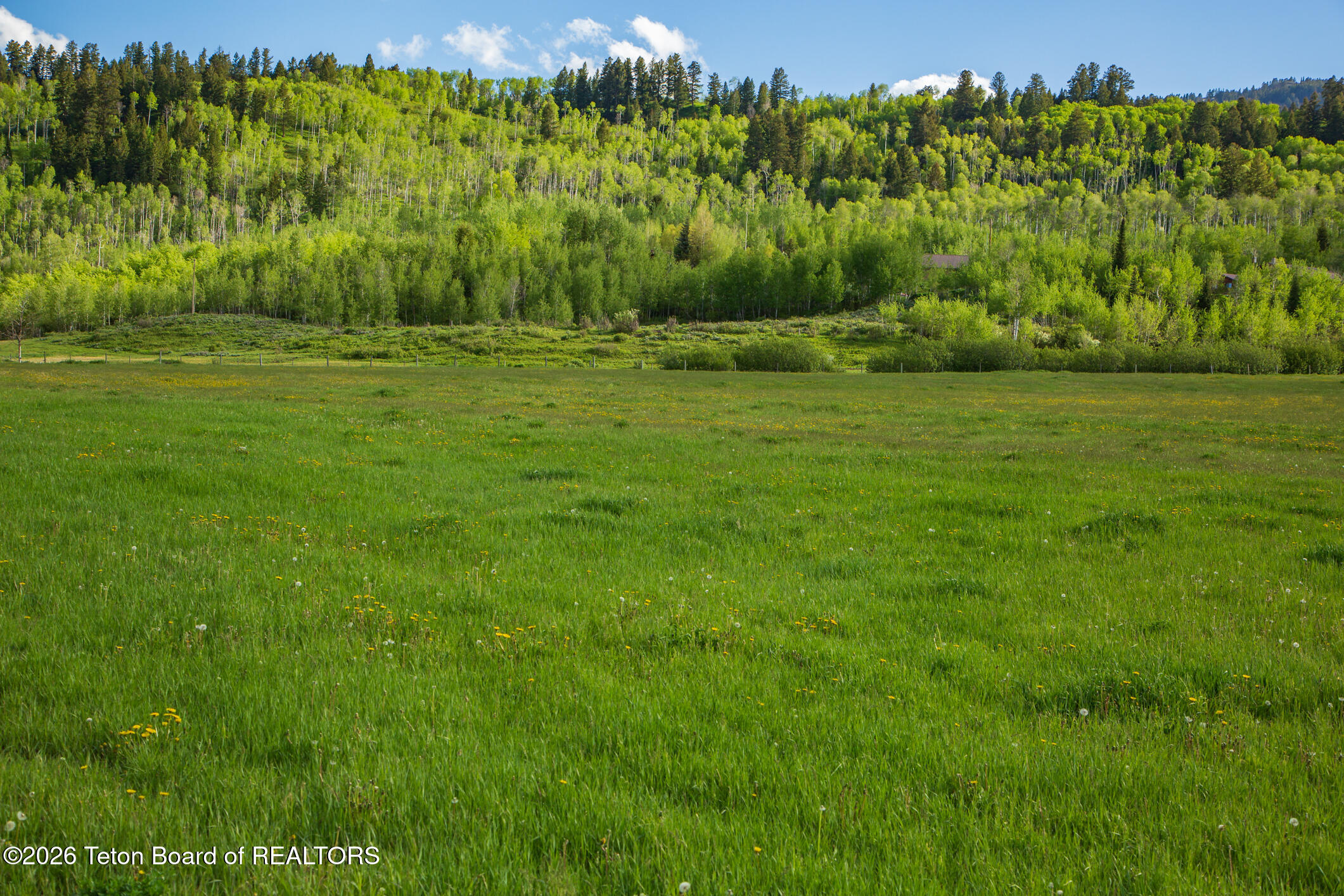 7675 Highway 89 Jackson, WY 83001 - Photo 10 of 47 Munger Mtn Ranch