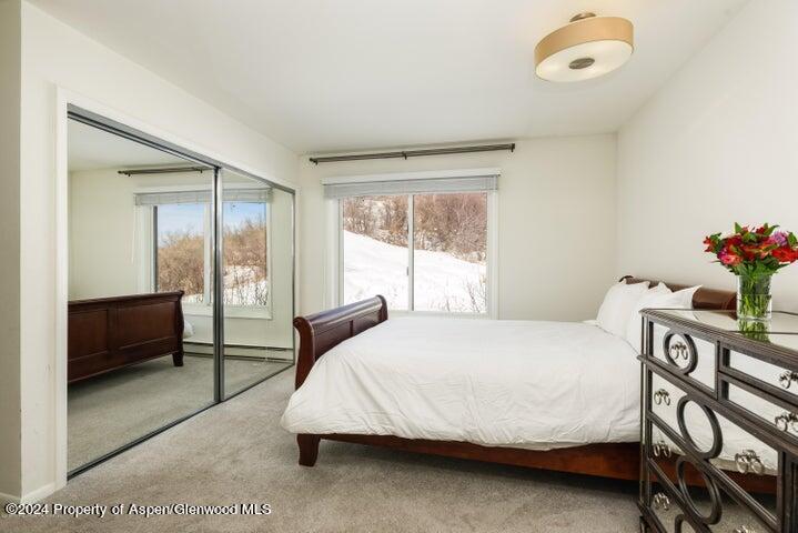 35 Lower Woodbridge Road, Unit 164 Snowmass Village, CO 81615 - Photo 8 of 12 S4 9