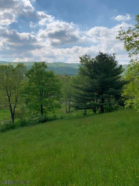 4129 Milligans Cove Road Manns Choice, PA 15550 - Photo 41 of 42 Gallery Image 41