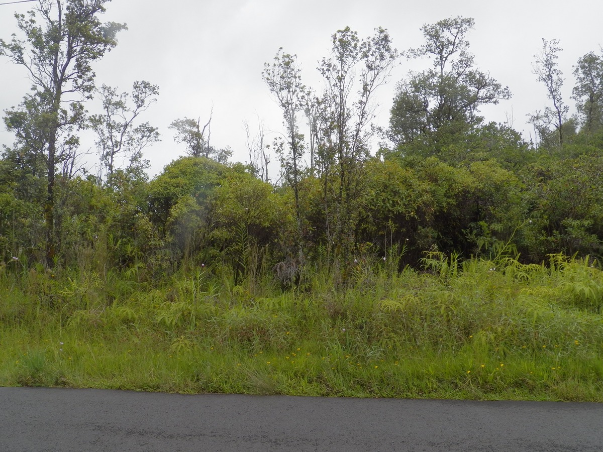 Pohaku Drive, Hilo, HI 96720 Compass
