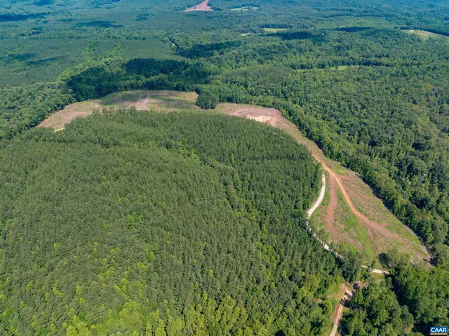 a view of a garden with a plant