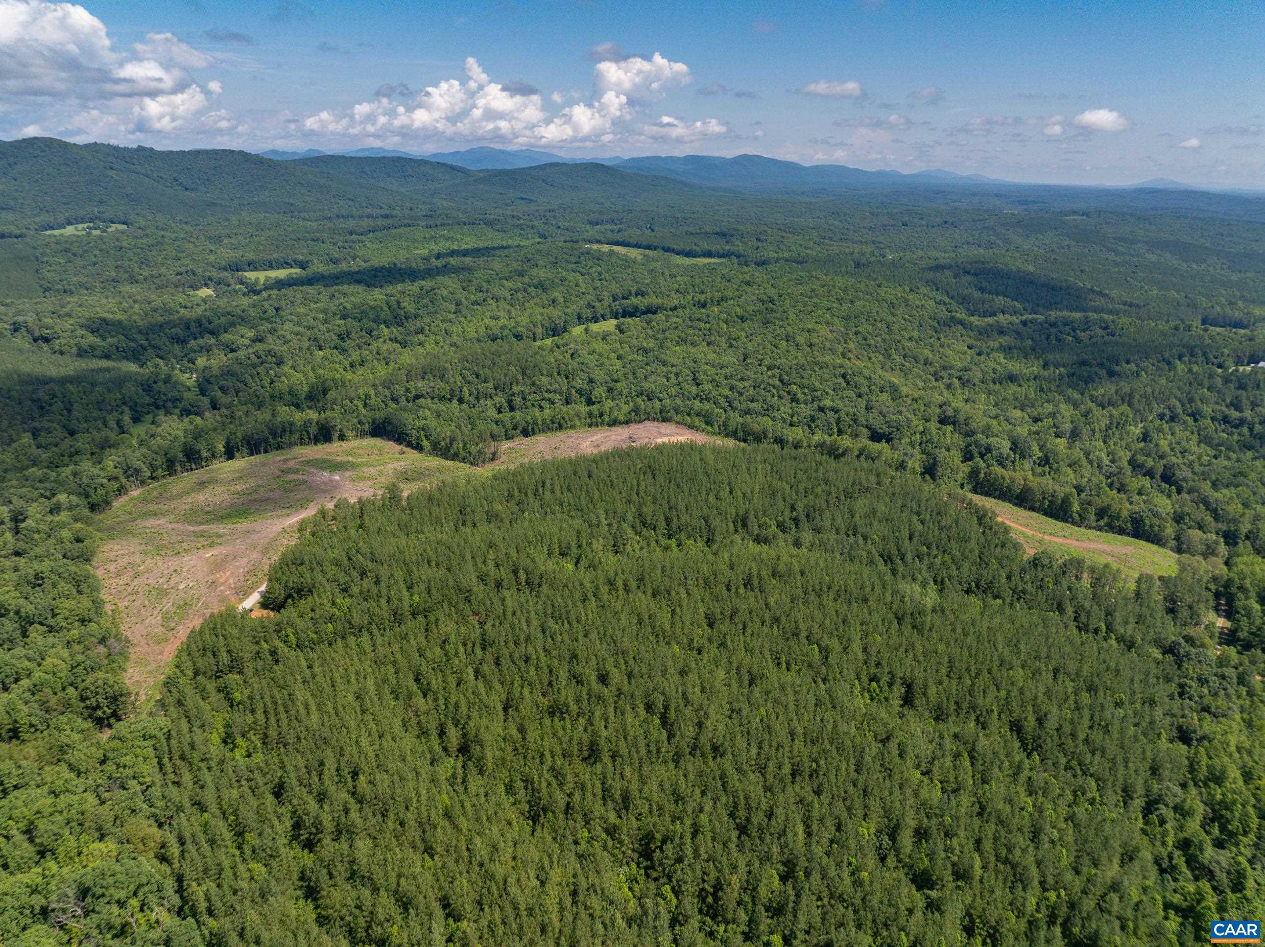 Hunting Lodge Road Schuyler, VA 22969 - Photo 19 of 66 a view of a big yard with green space