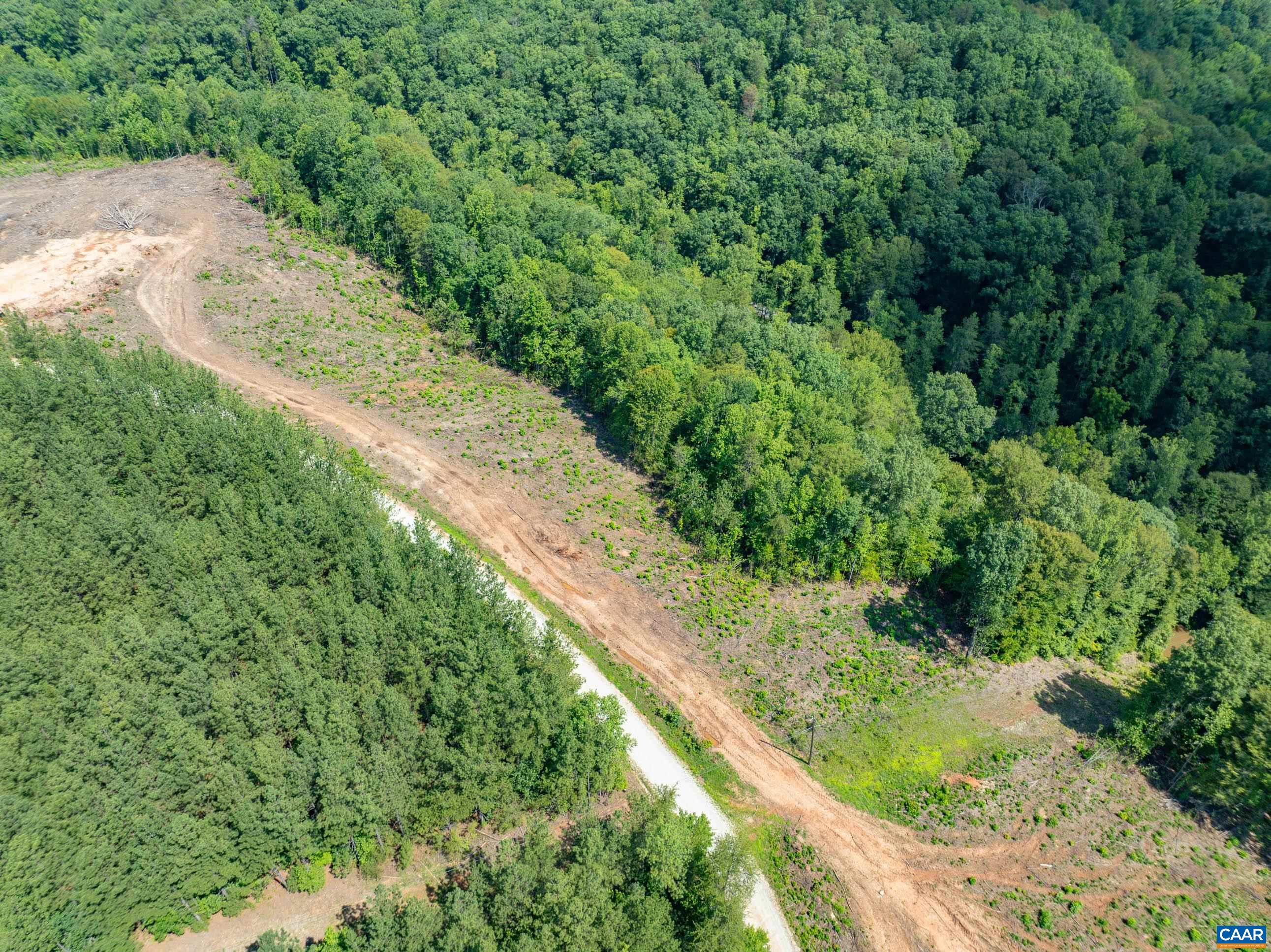 Hunting Lodge Road Schuyler, VA 22969 - Photo 24 of 66 a view of a garden with a plant