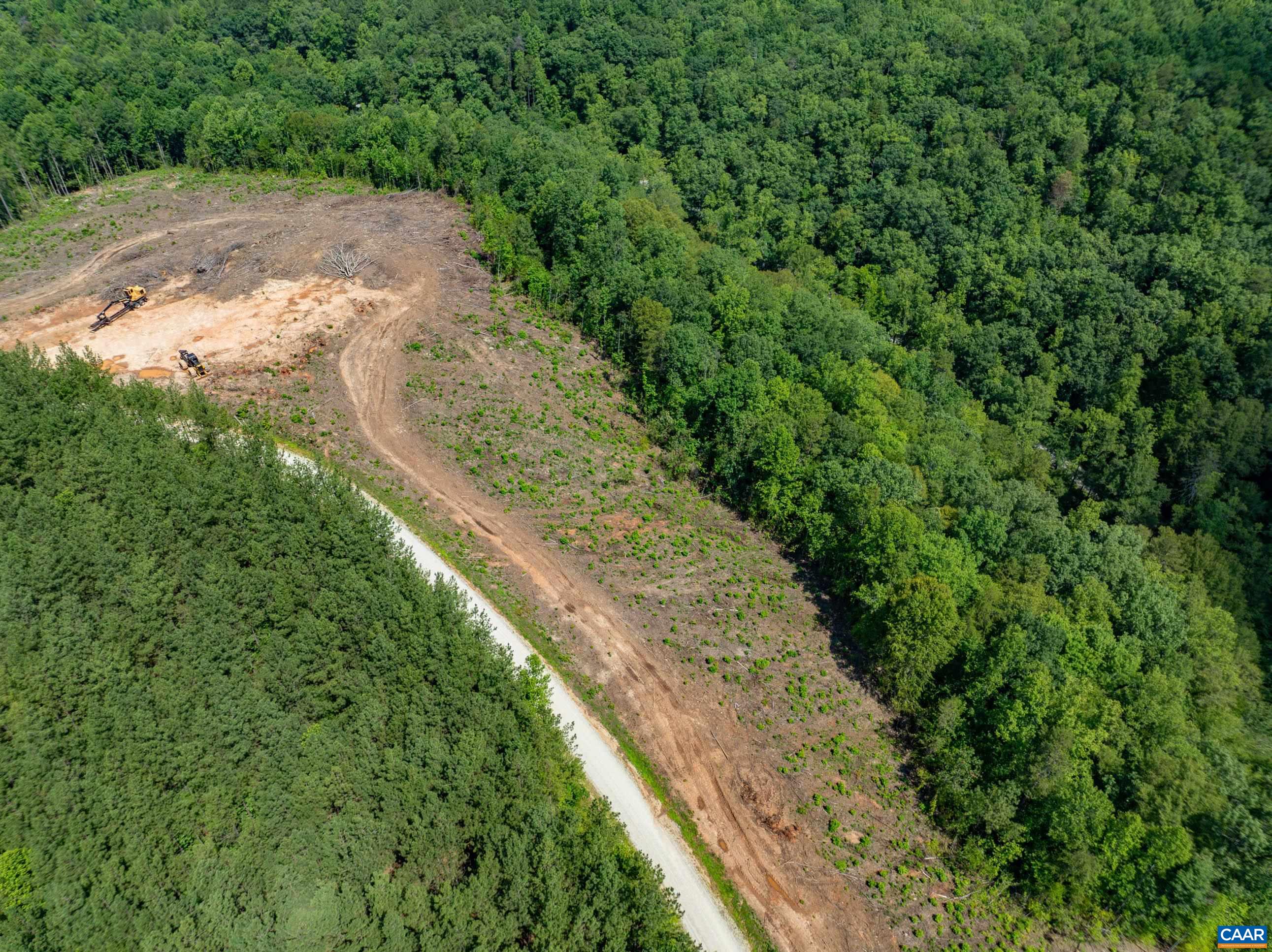 Hunting Lodge Road Schuyler, VA 22969 - Photo 25 of 66 a view of a pathway both side of yard