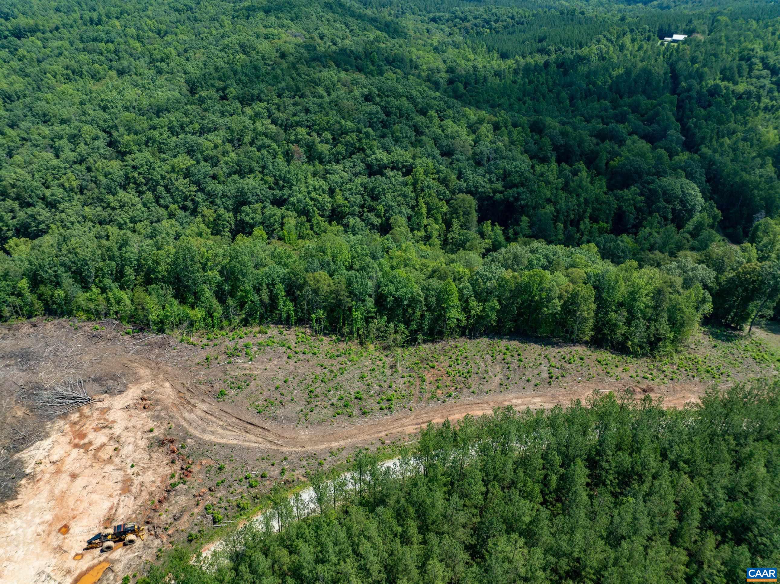 Hunting Lodge Road Schuyler, VA 22969 - Photo 26 of 66 a view of a yard with plants and trees