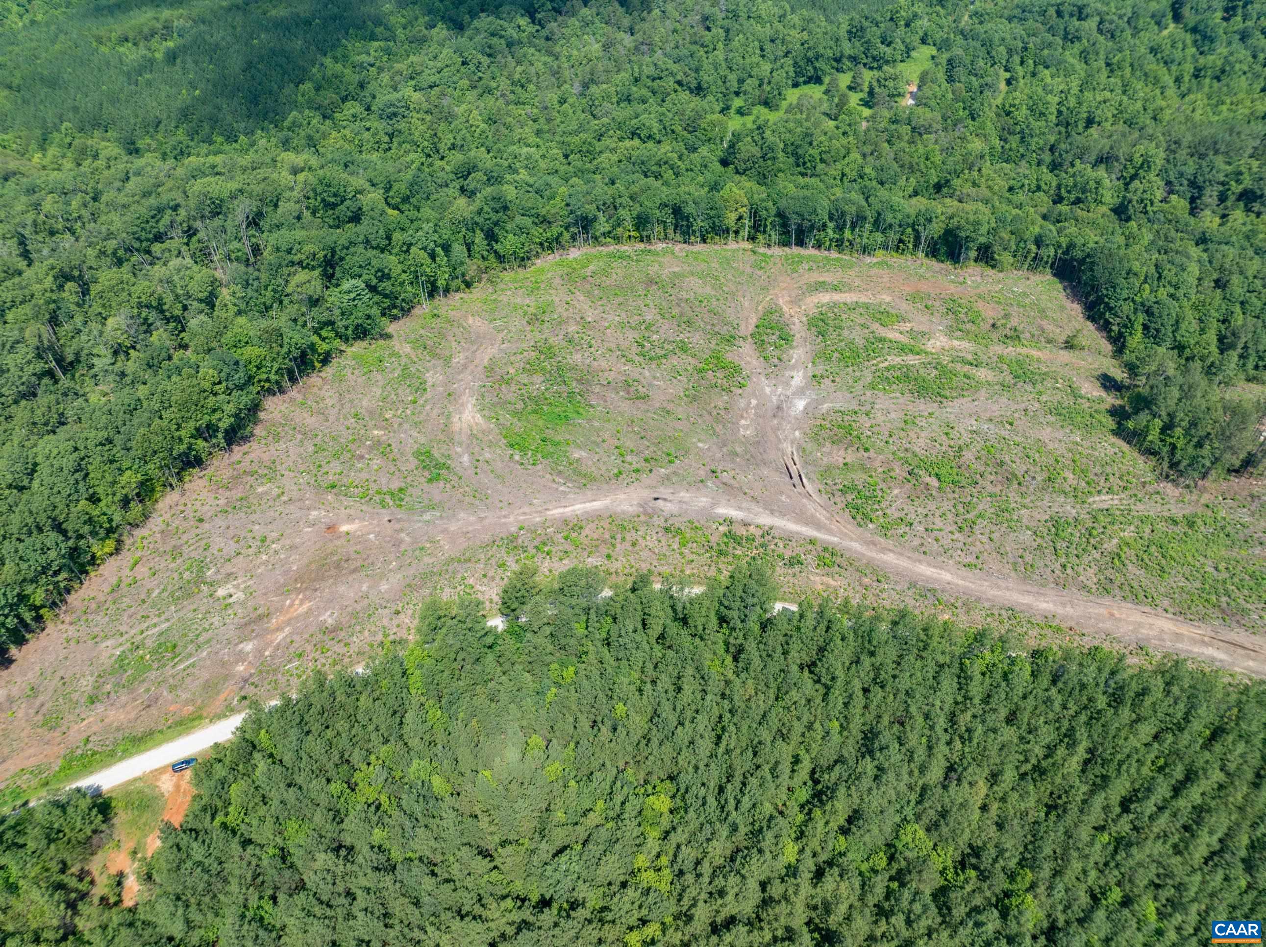 Hunting Lodge Road Schuyler, VA 22969 - Photo 30 of 66 a view of a yard with a plants