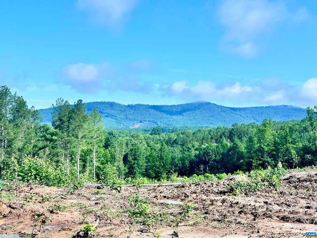 a view of a grassy area with an trees