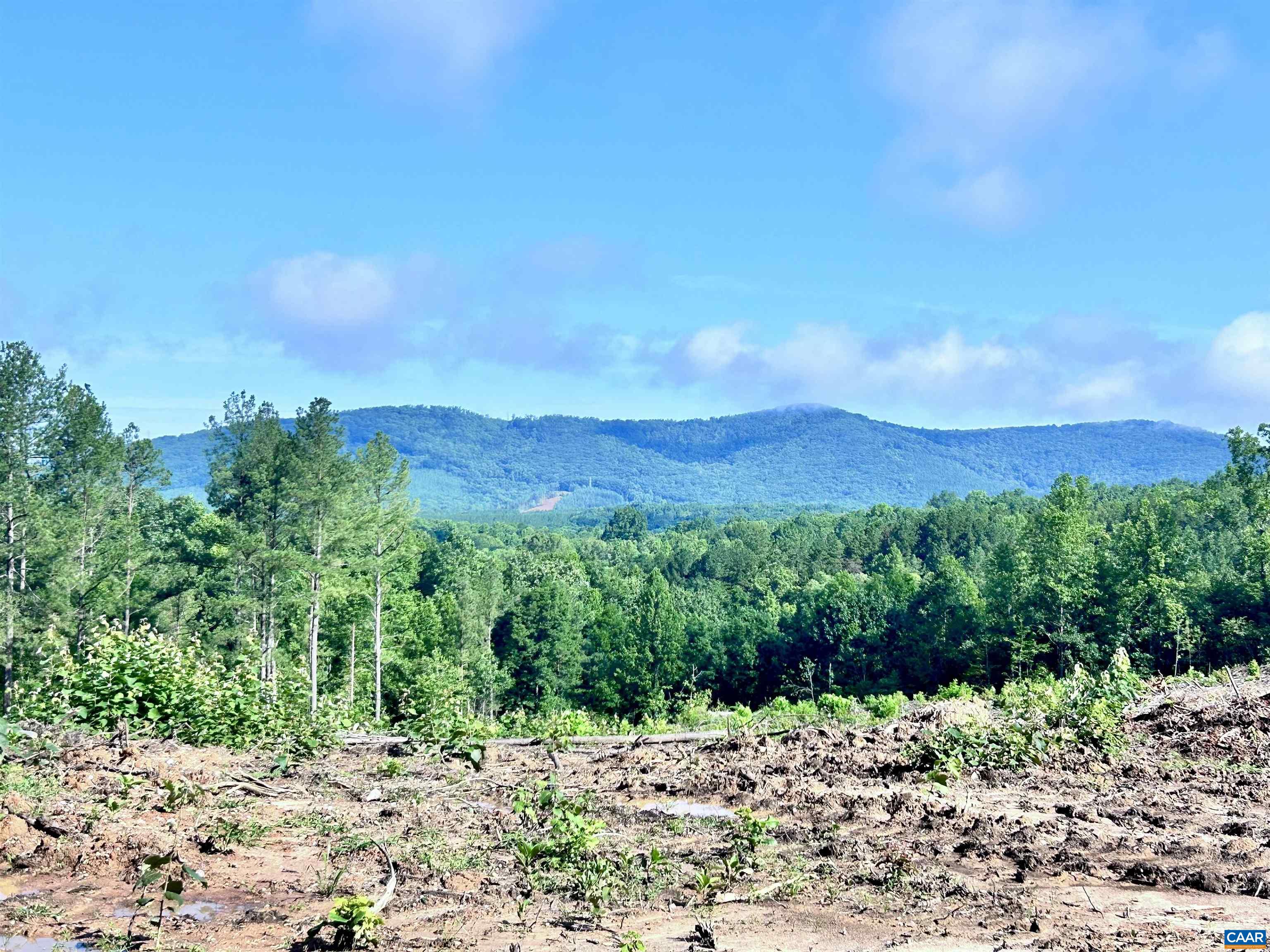 Hunting Lodge Road Schuyler, VA 22969 - Photo 3 of 66 a view of a pathway with a yard