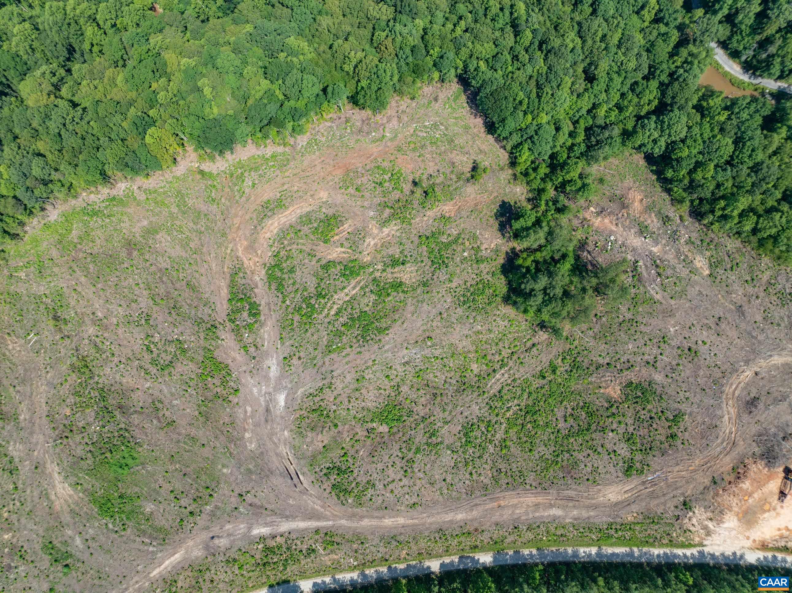 Hunting Lodge Road Schuyler, VA 22969 - Photo 40 of 66 a view of a yard with plants