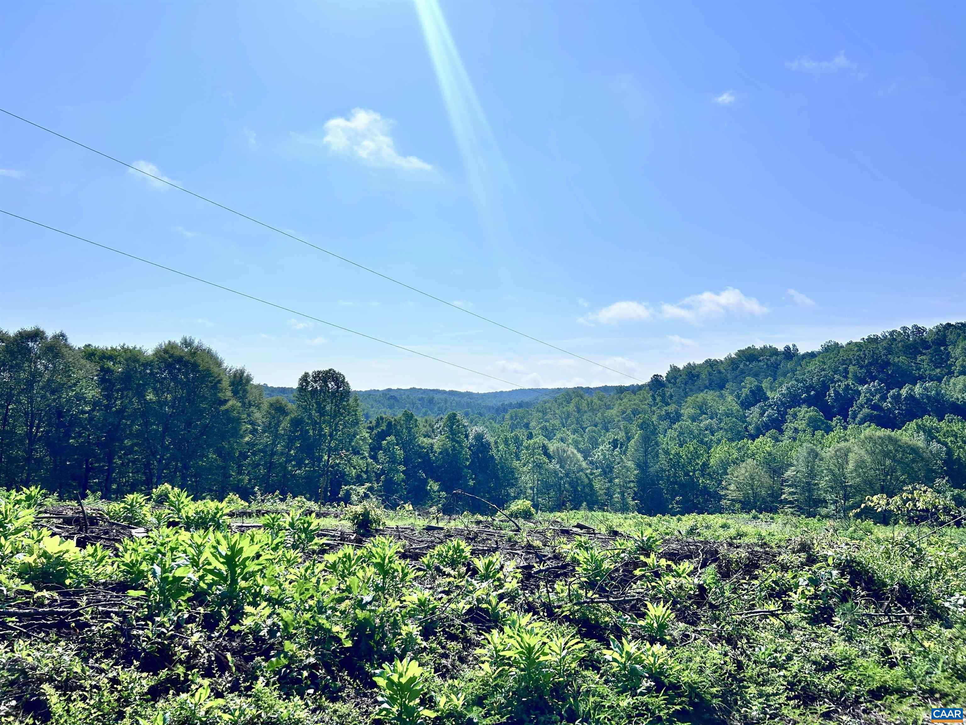 Hunting Lodge Road Schuyler, VA 22969 - Photo 4 of 66