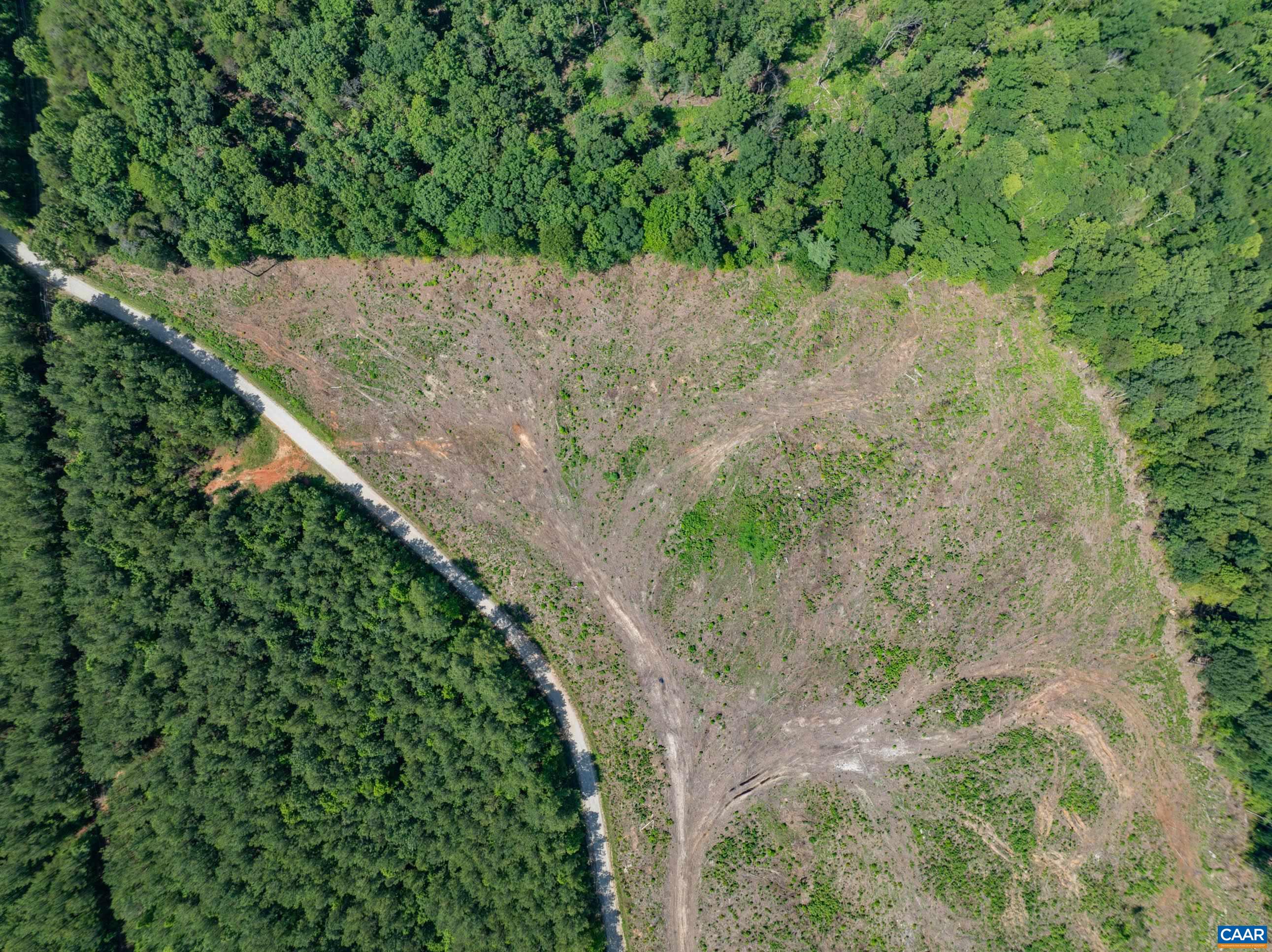 Hunting Lodge Road Schuyler, VA 22969 - Photo 41 of 66 a view of a yard with a tree